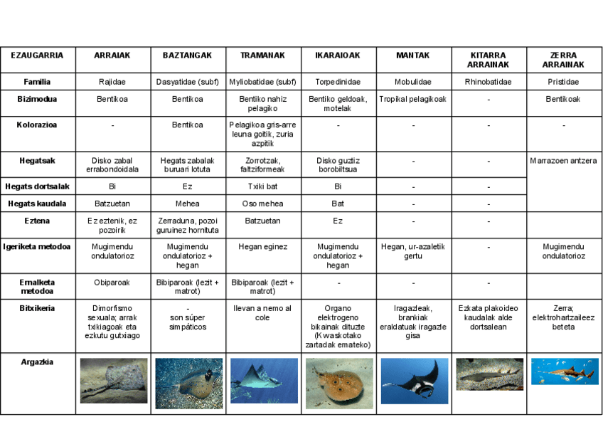 Miniatura del documento LABURPEN-TAULA-HIPOTREMATUAK.pdf