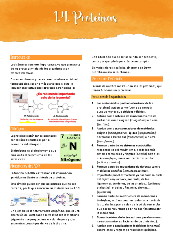 Miniatura del documento 1.4. PROTEÍNAS.pdf