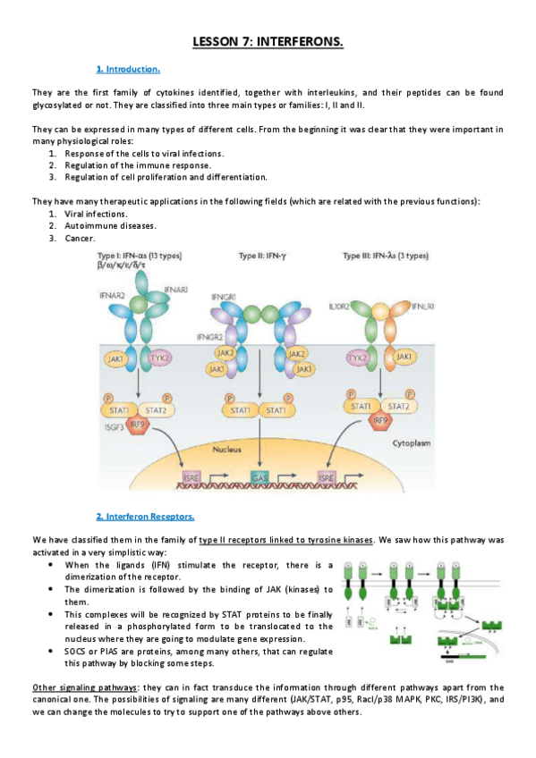 Miniatura del documento Lesson 7.pdf