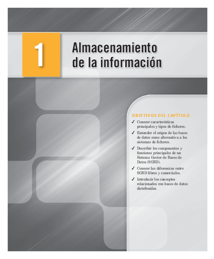 Miniatura del documento T1Cap1RAMA.pdf