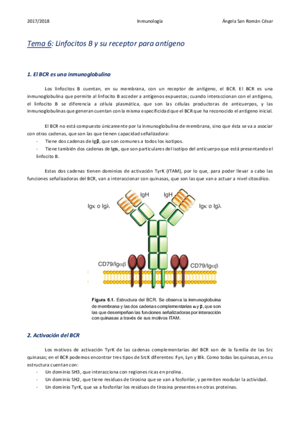 Miniatura del documento 6. Linfocitos B y su receptor para antígeno.pdf