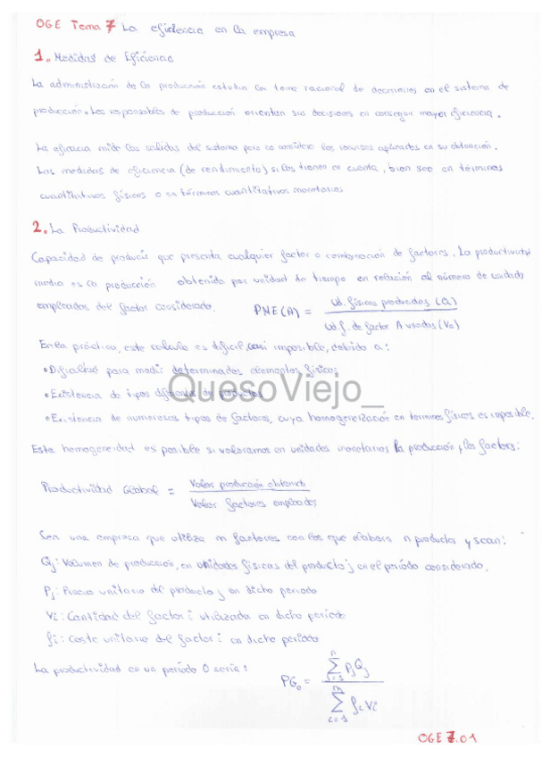 Miniatura del documento OGE7-La-eficiencia-de-la-empresa-watermark-1.pdf