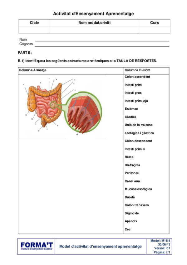 Miniatura del documento P8M08-Digestivo-nutricion-actividad-.pdf