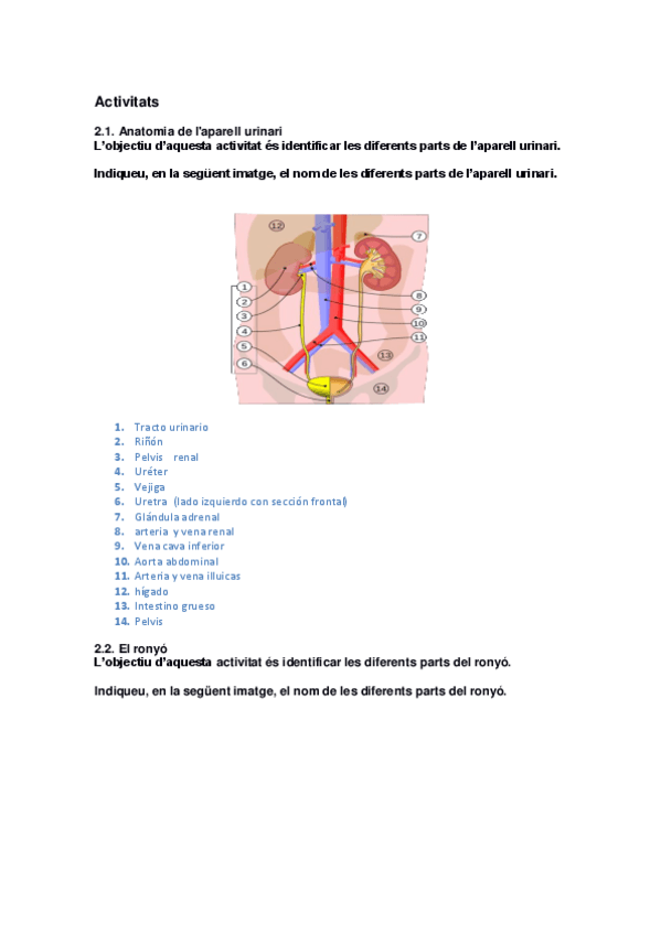 Miniatura del documento P2-renal-Actividad.pdf
