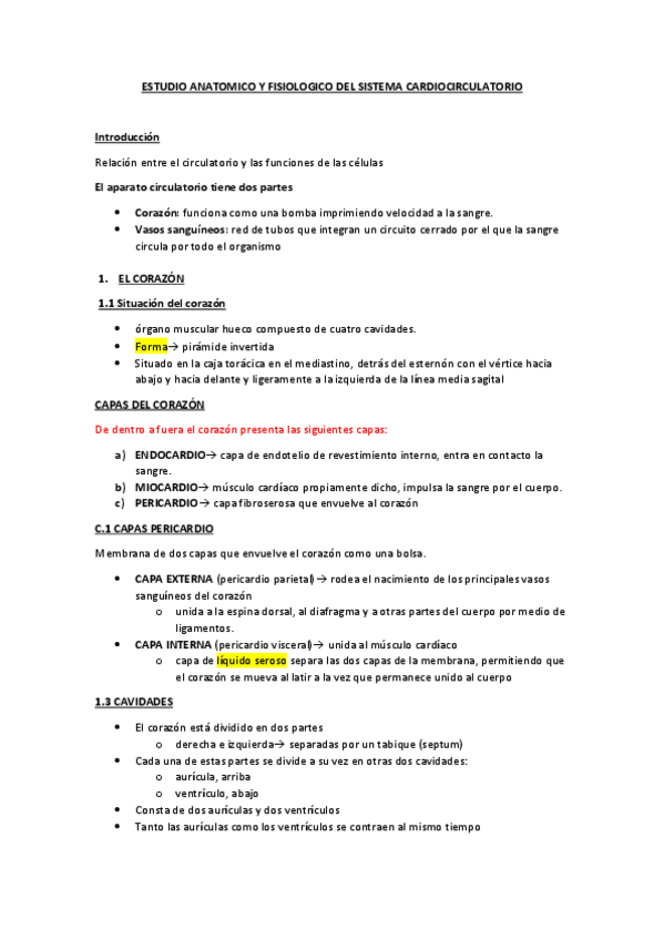 Miniatura del documento ESTUDIO-ANATOMICO-cardiocirculatorio-apuntes.pdf