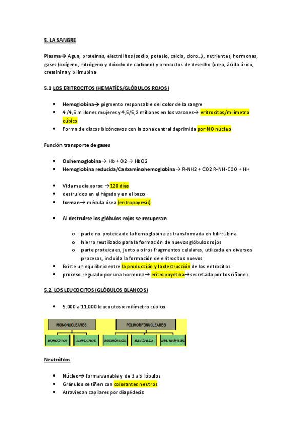 Miniatura del documento la-sangre-fisio-apuntes-.pdf