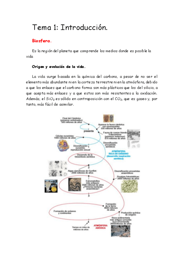 Miniatura del documento Apuntes-bioqui-ambiental.pdf