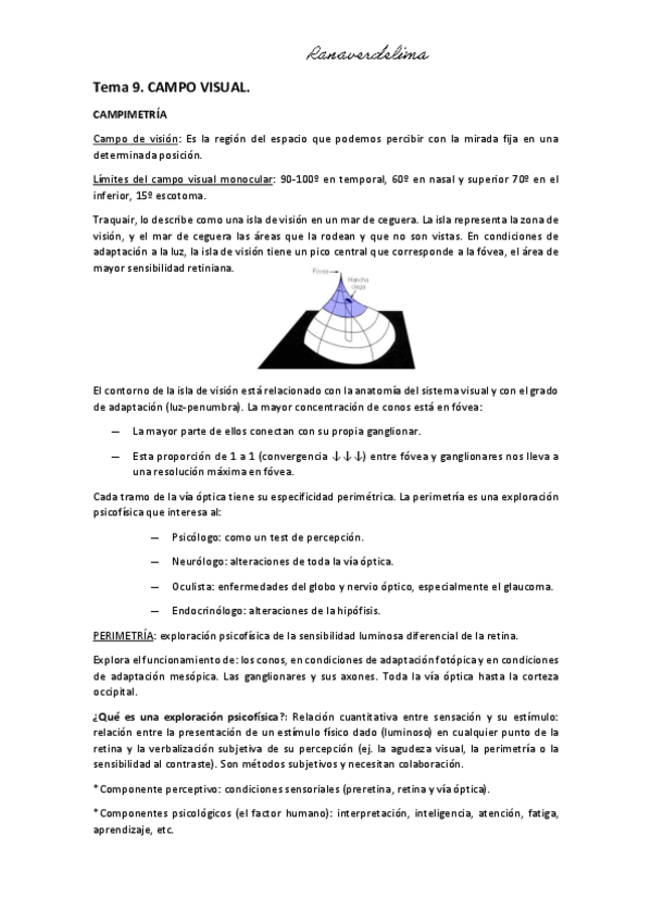 Miniatura del documento Tema-9-campo-visual.pdf