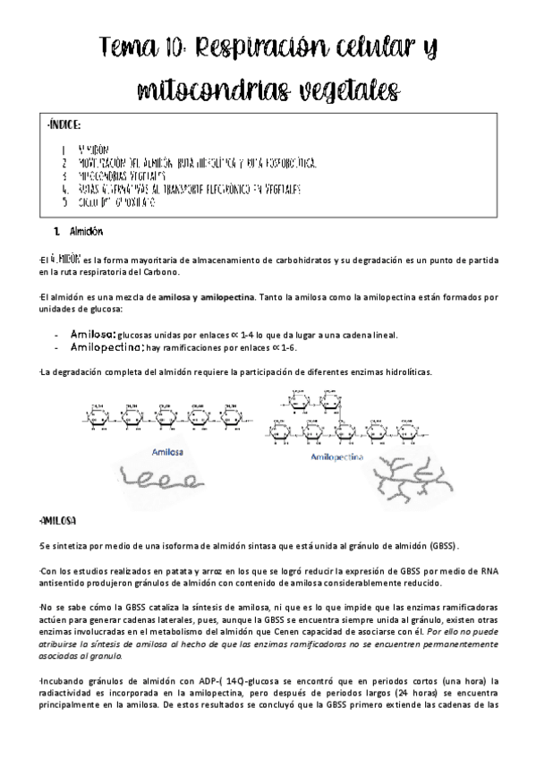 Miniatura del documento tema-10-fisio-veg.pdf