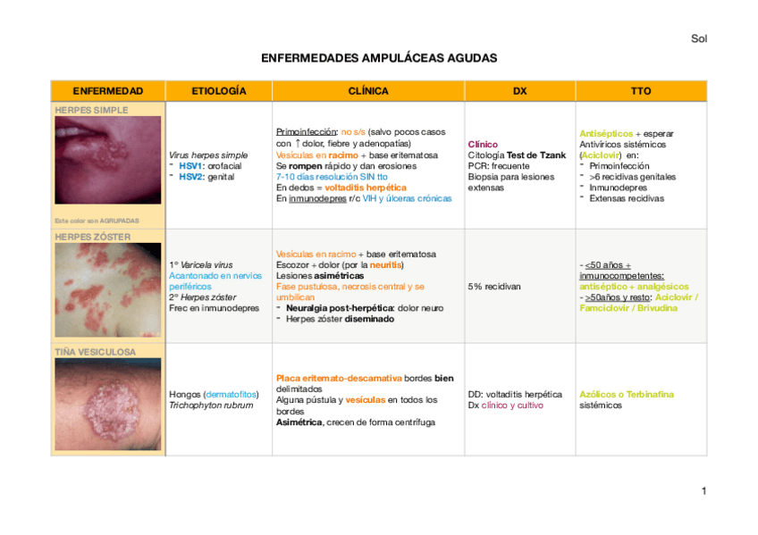 Miniatura del documento 2-Ampulaceas-agudas.pdf