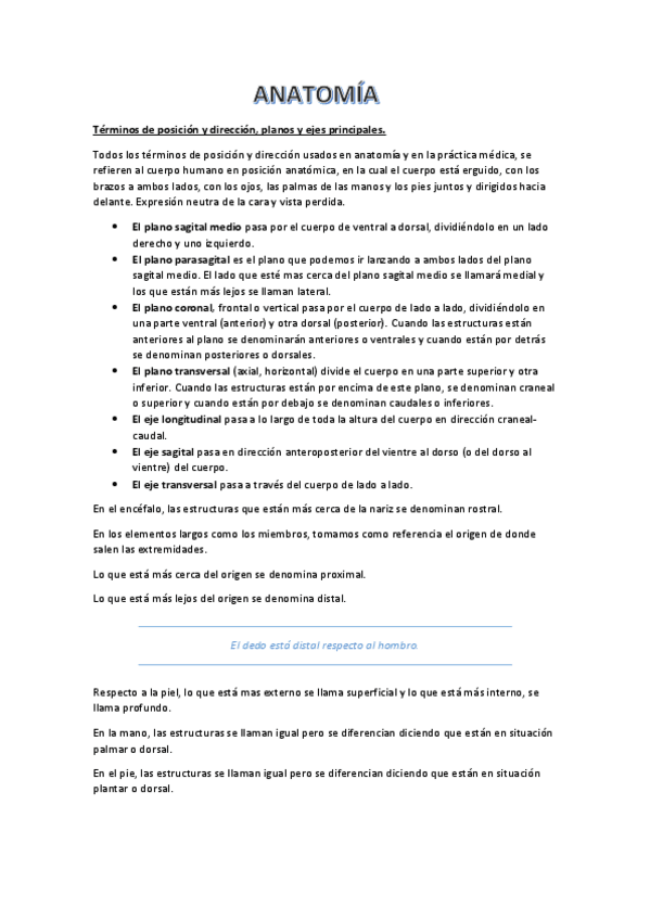 Miniatura del documento ANATOMIADEF.pdf