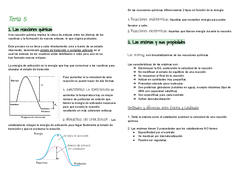 Miniatura del documento Tema-5.pdf