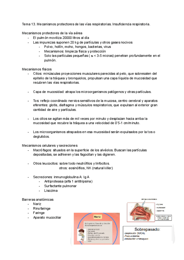 Miniatura del documento Tema-13.pdf