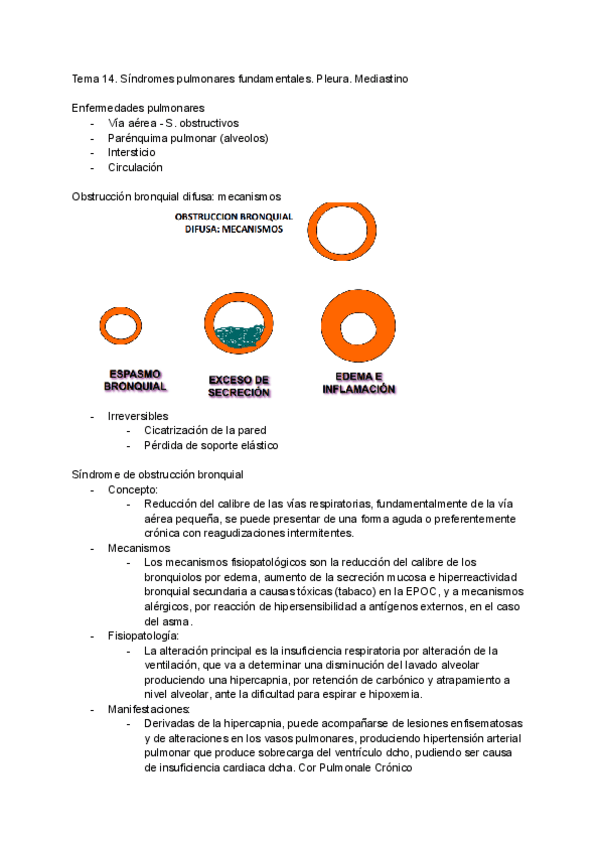 Miniatura del documento Tema-14.pdf