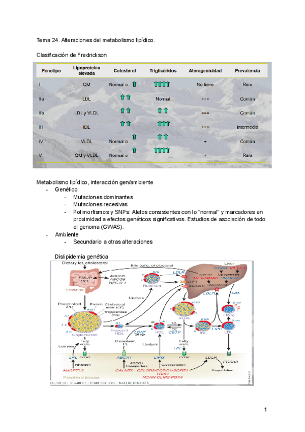 Miniatura del documento Tema-24.pdf