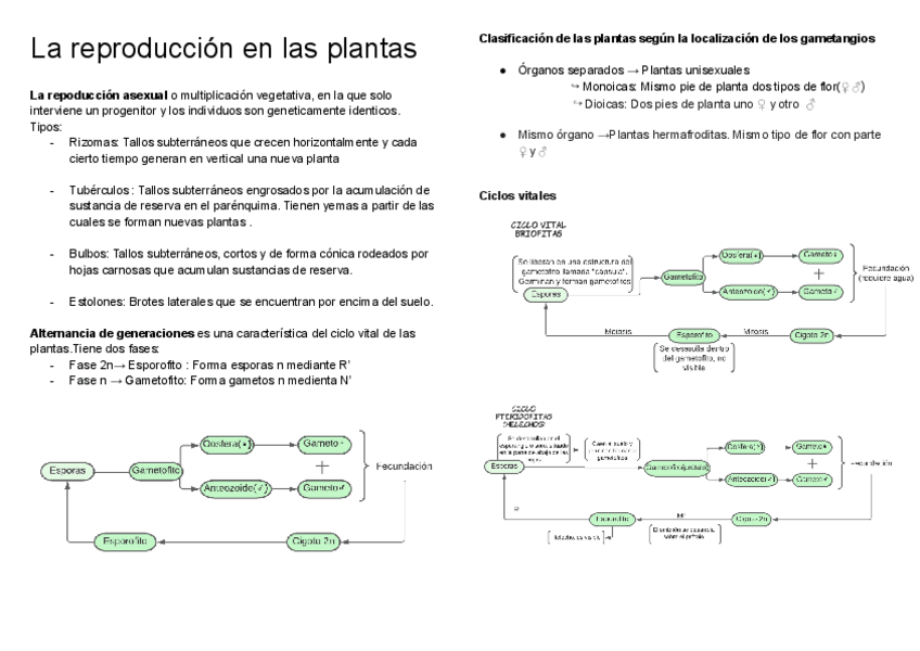 Miniatura del documento La-reproduccion-en-las-plantas.pdf