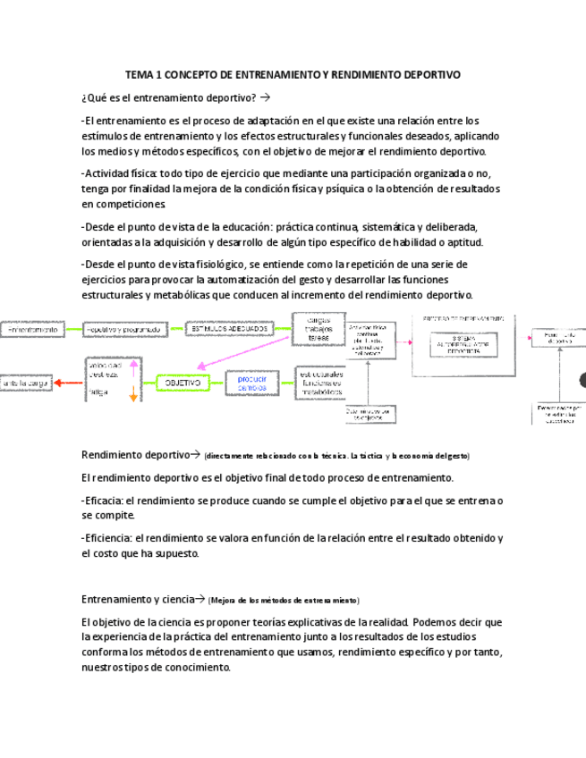 Miniatura del documento Ta-del-entrenamiento-TM-1-3.pdf