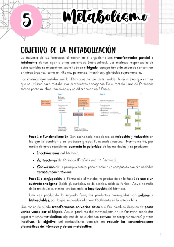 Miniatura del documento Tema-5.pdf