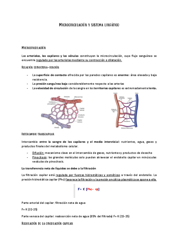 Miniatura del documento Microcirculacion-y-sistema-linfatico.pdf