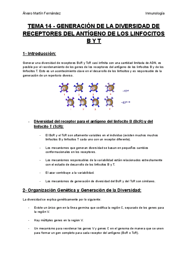 Miniatura del documento TEMA-14-GENERACION-DE-LA-DIVERSIDAD-DE-RECEPTORES-DEL-ANTIGENO-DE-LOS-LINFOCITOS-B-Y-T.pdf