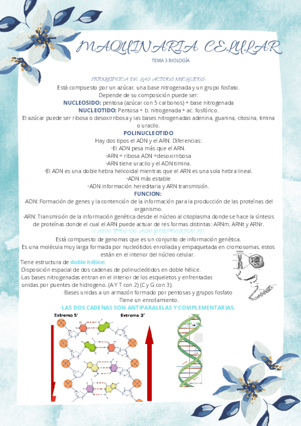 Miniatura del documento BIOLOGIA-TEMA-3.pdf