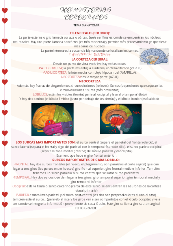 Miniatura del documento Tema-3-HEMISFERIOS-CEREBRALES.pdf