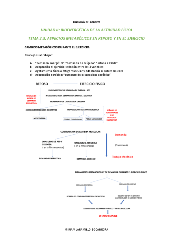 Miniatura del documento TEMA-2.pdf