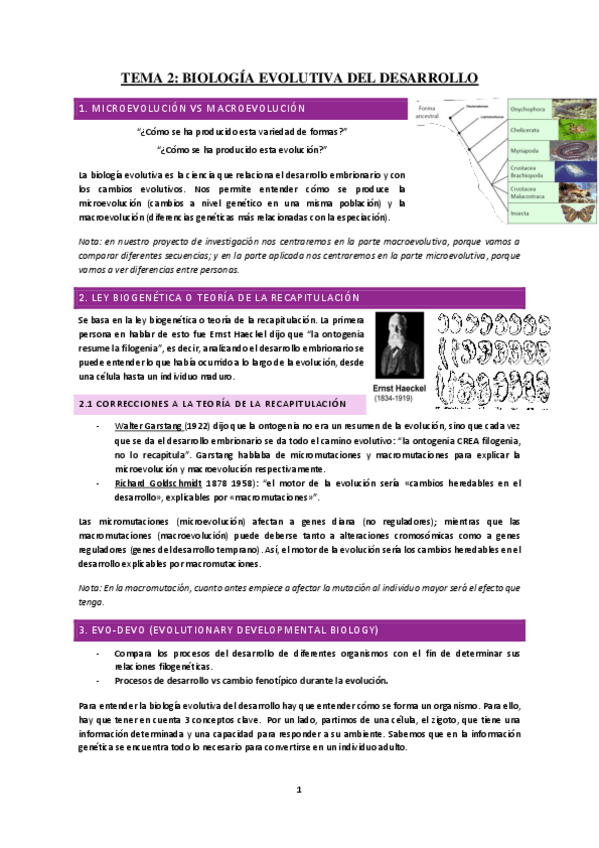 Miniatura del documento Tema-2-Biologia-evolutiva-del-desarrollo.pdf
