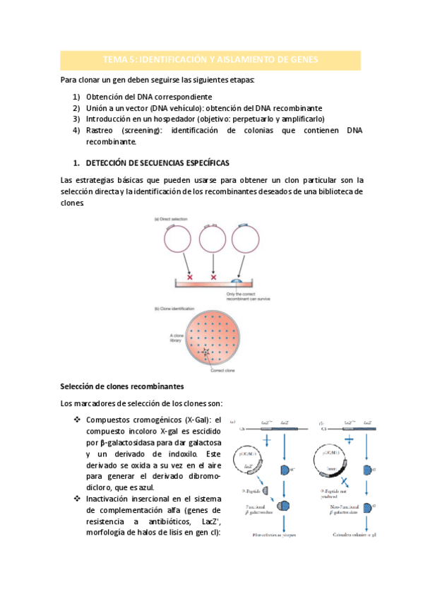 Miniatura del documento TEMA-5.pdf