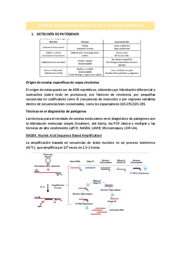Miniatura del documento TEMA-8.pdf