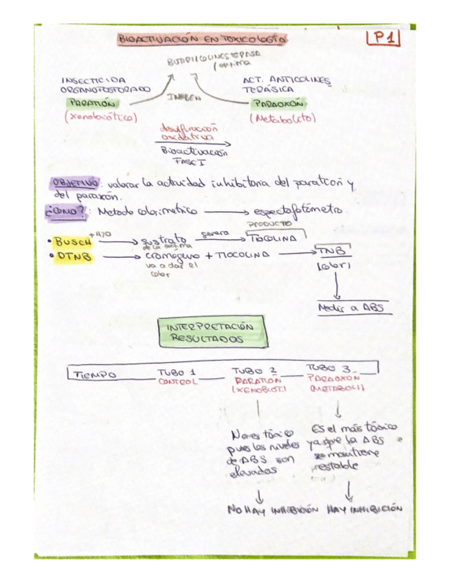 Miniatura del documento APUNTES-PRACTICAS.pdf