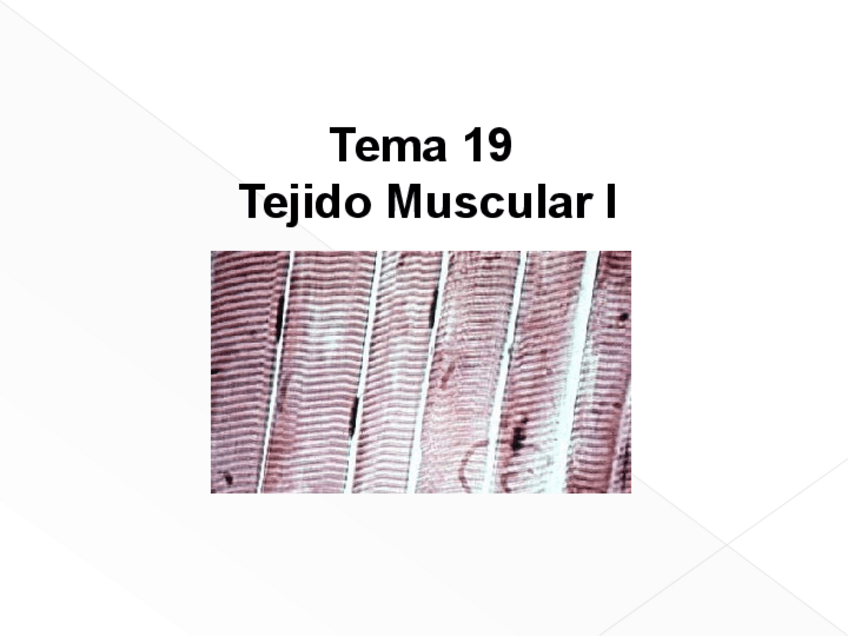 Miniatura del documento Tema-19-tejido-muscularI.pdf