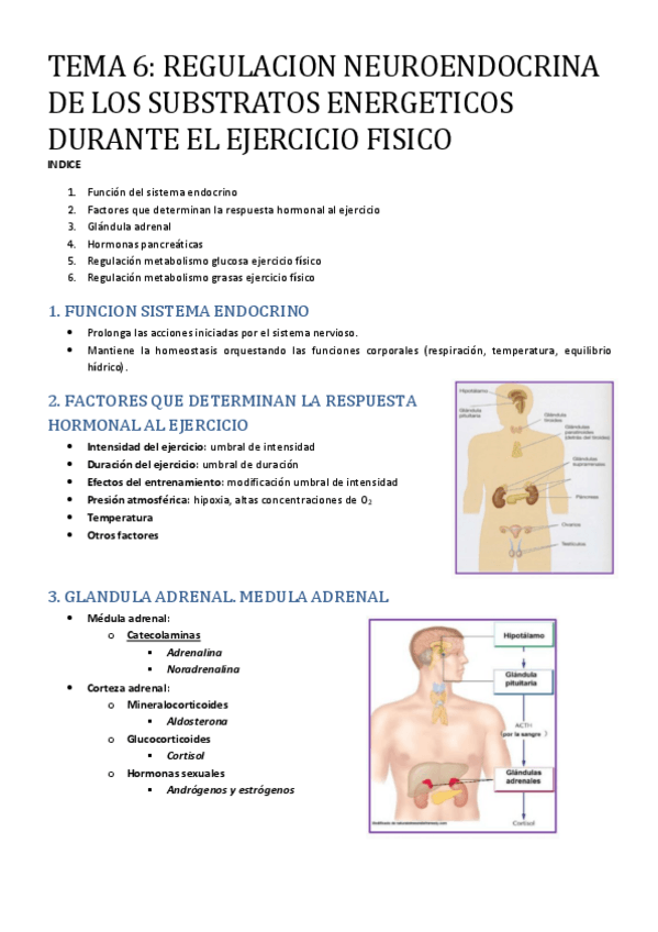 Miniatura del documento Tema-6.pdf