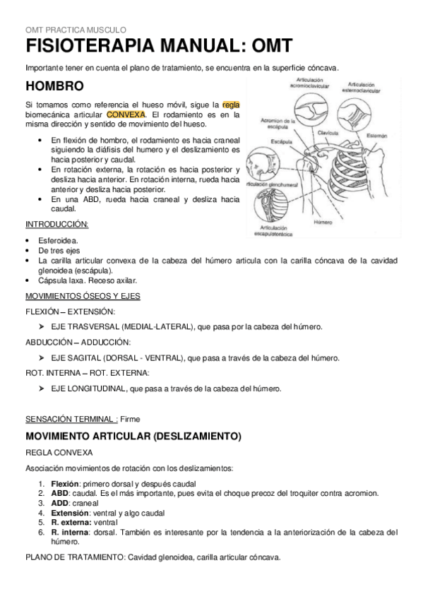 Miniatura del documento FISIOTERAPIA-MANUAL.pdf
