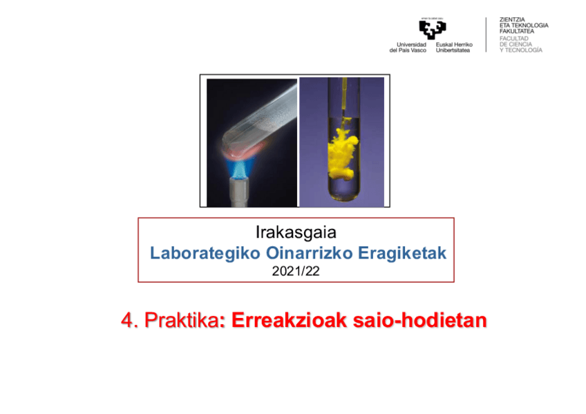 Miniatura del documento 4Perreakzioaksaio-hodietan2021.pdf