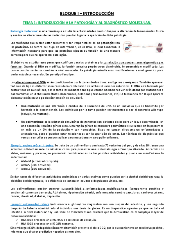 Miniatura del documento Tema 1.pdf