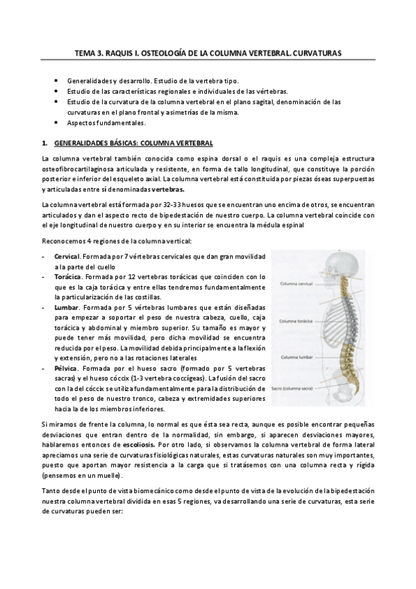 Miniatura del documento TEMA-3.pdf