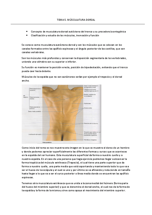 Miniatura del documento TEMA-5.pdf