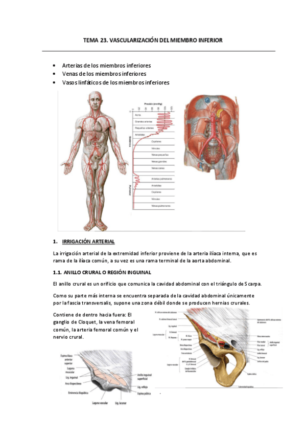 Miniatura del documento TEMA-23.pdf