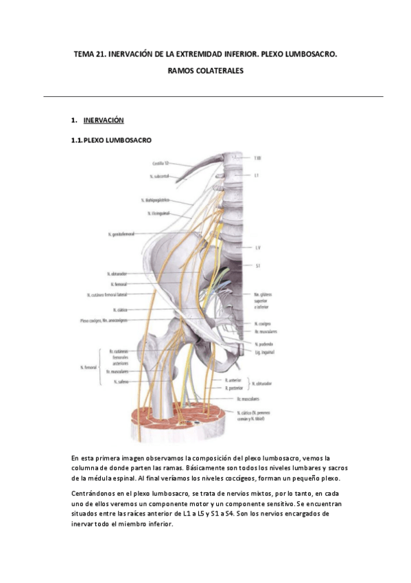 Miniatura del documento TEMA-21.pdf