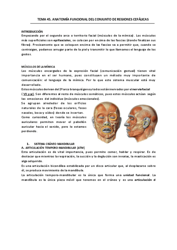 Miniatura del documento TEMA-45.pdf