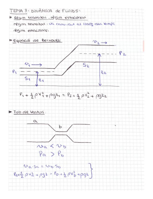 Miniatura del documento T3-Dinamica-de-fluids.pdf