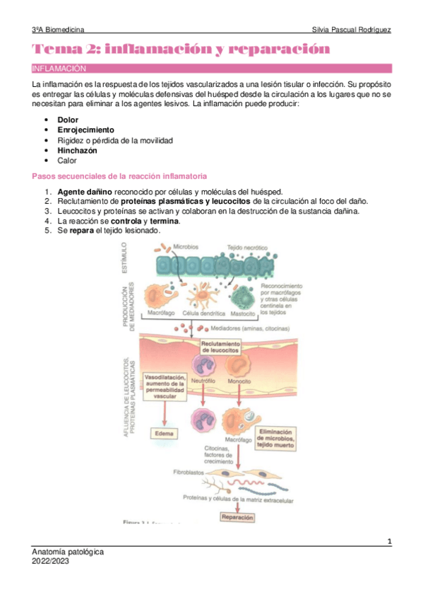 Miniatura del documento Tema-2-Anatomia-patologica.pdf