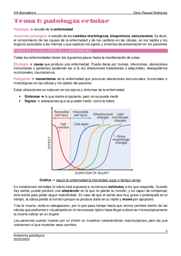 Miniatura del documento Tema-1-Anatomia-patologica.pdf
