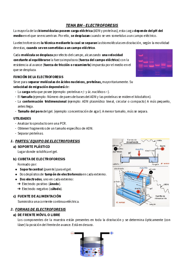 Miniatura del documento TEMA-RESUMEN-BM-ELECTROFORESIS.pdf