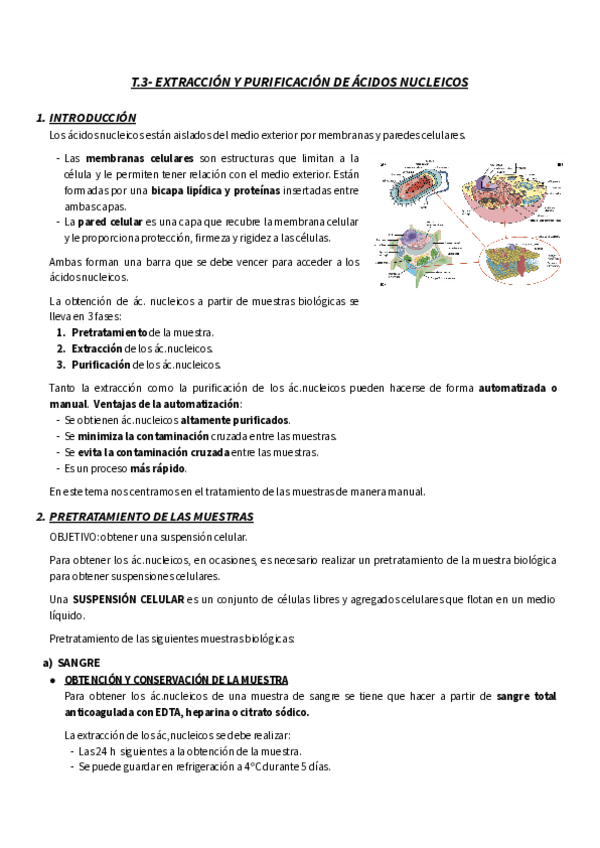 Miniatura del documento T.pdf