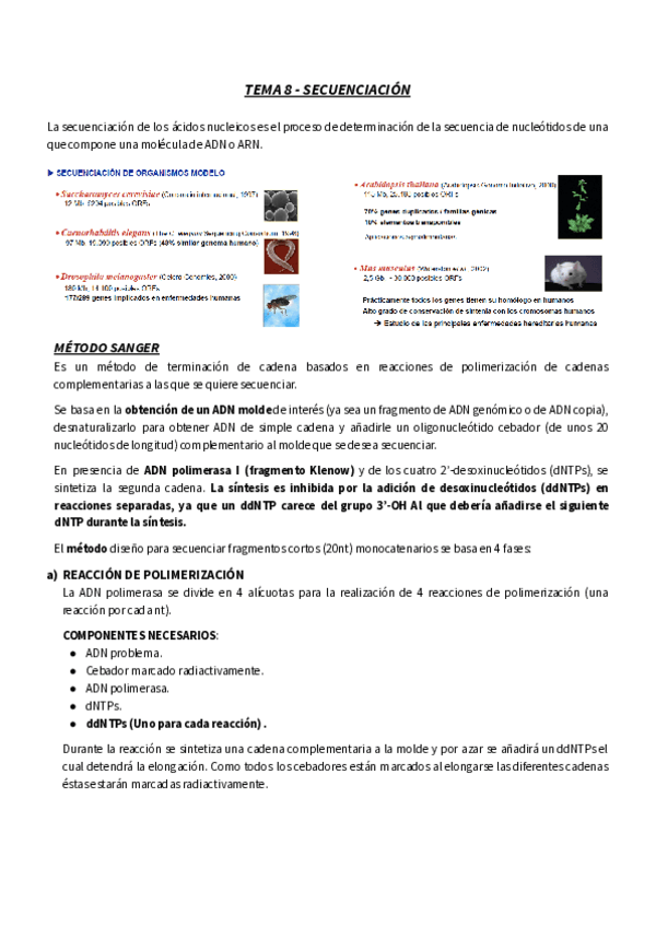 Miniatura del documento TEMA-8-RESUMEN-BM-SECUENCIACION-1.pdf