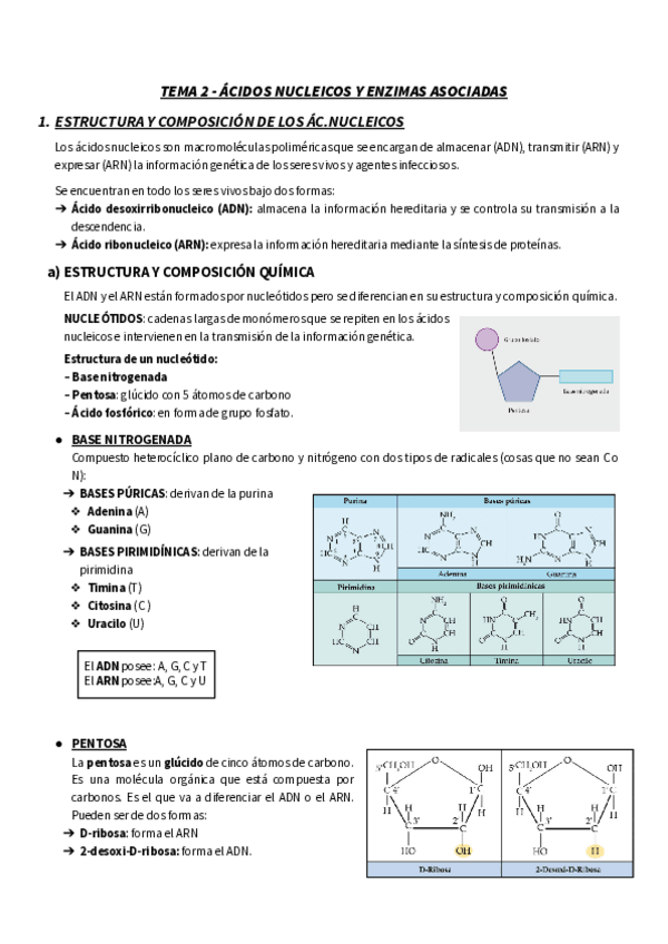 Miniatura del documento TEMA-2-BM-RESUMEN-ACIDOS-NUCLEICOS-Y-ENZIMAS-ASOCIADAS.pdf