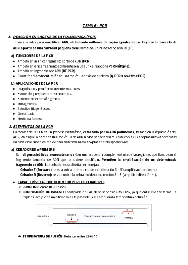 Miniatura del documento TEMA-6-RESUEMEN-BM-PCR.pdf