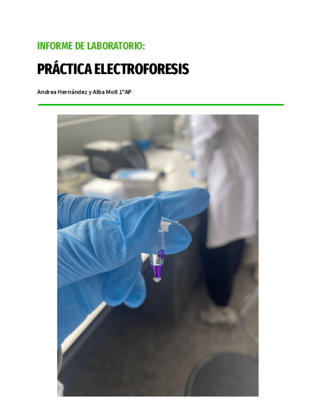 Miniatura del documento INFORME-DE-LABORATORIO-PRACTICA-ELECTROFORESIS-Andrea-Hernandez-y-Alba-Moll-1oAP.pdf